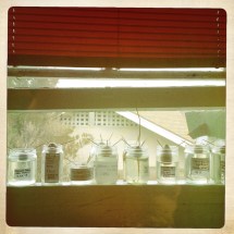 Avocado Warmth & Light TheWholeRuth 5.5.13