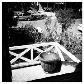 #nosyneighbor #statefarm #wherearethetrannyhookers #hollywood #potsibilities