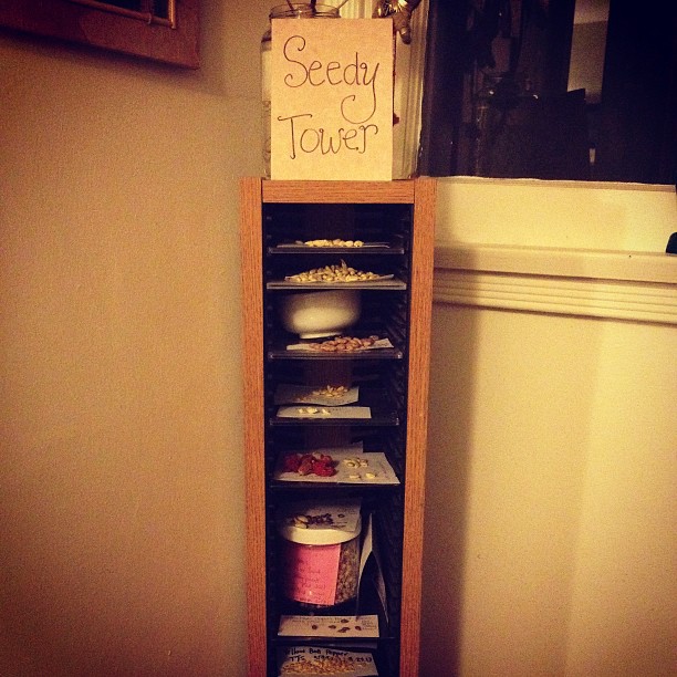 Seedy Tower TheWholeRuth