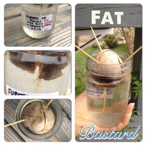 #meetfatbastard #hesingsbass #bigthickmf