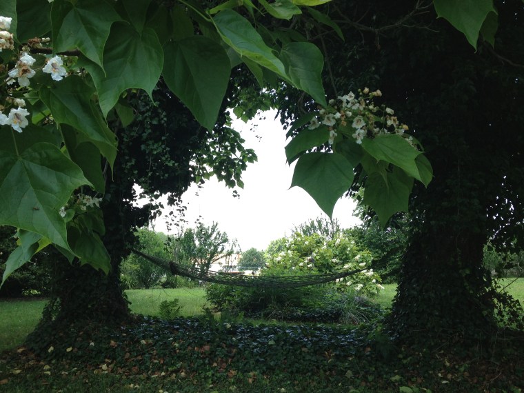Delaware Hobbit Hammock