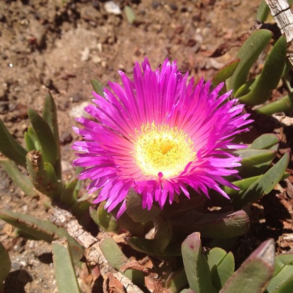 Math on the&nbsp;Beach