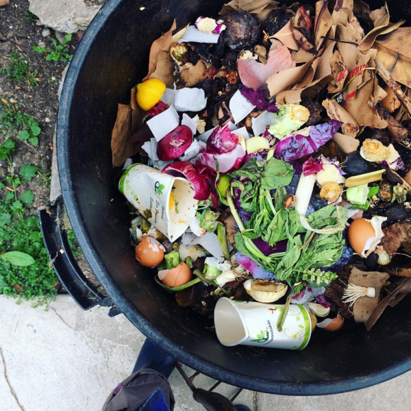 My Compost Story Part 2: Our&nbsp;Bin