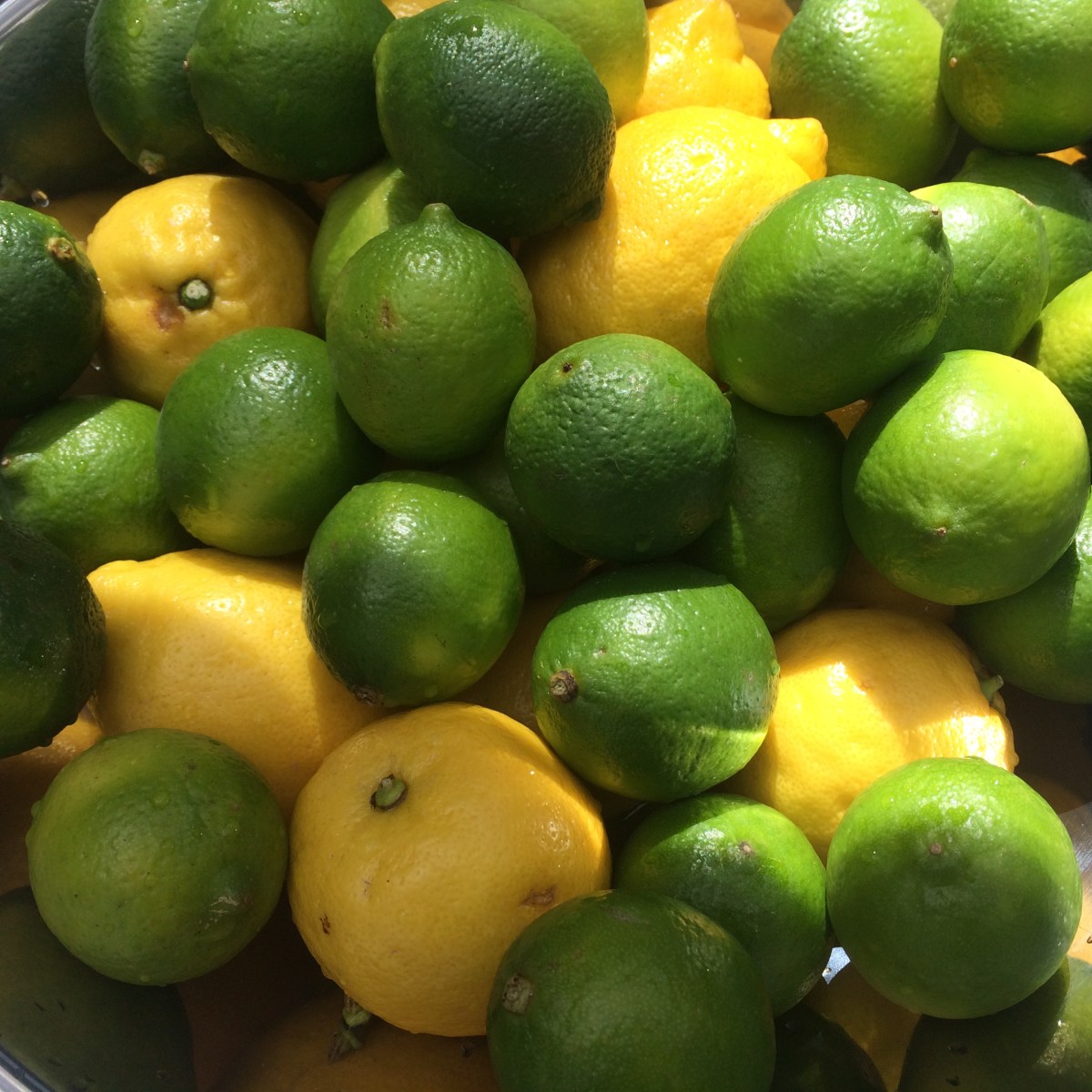 Food Waste: Throwing Away More Than&nbsp;Food