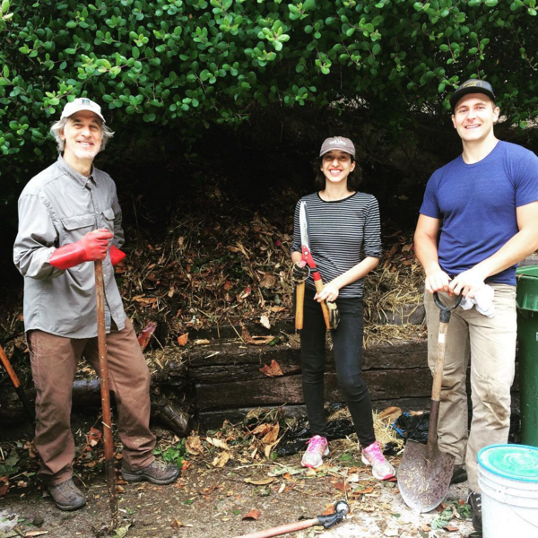 My Compost Story Part 1: Hollywood Orchard&nbsp;Pile