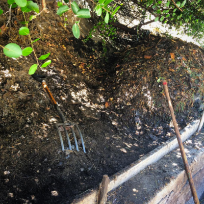 How What Where to Compost Part 2: Bins vs.&nbsp;Piles