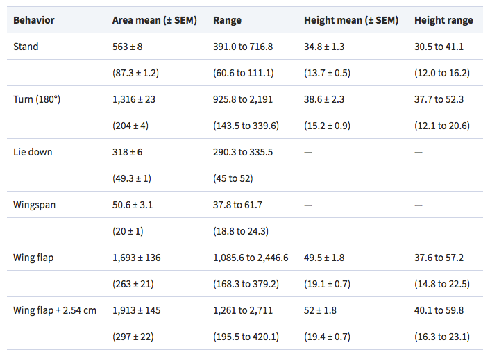 How to Determine laying hen measurements stand turn wingspan wing flap