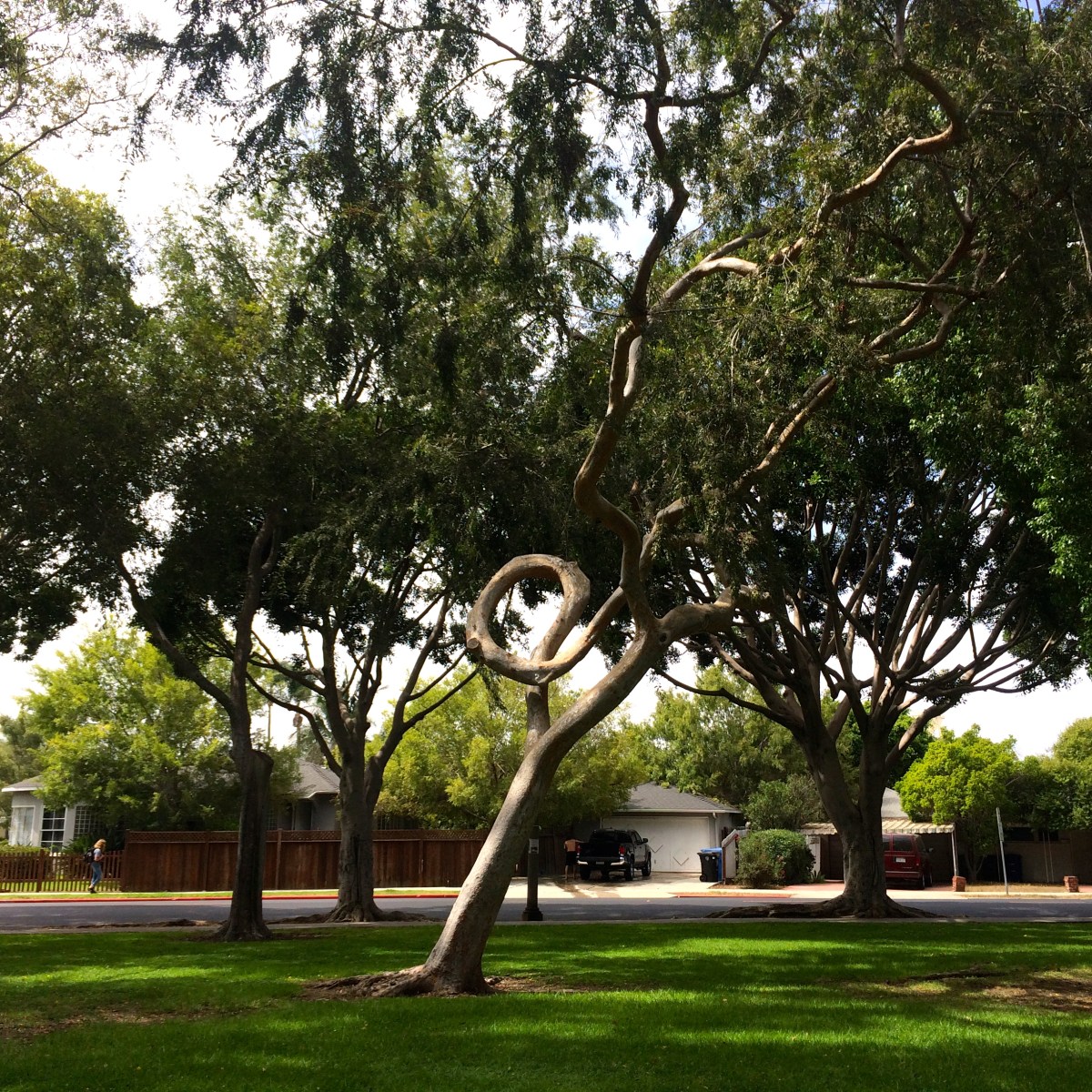 Trusting My Own&nbsp;Touch